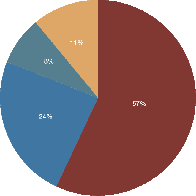 2024 Cases Pie Chart